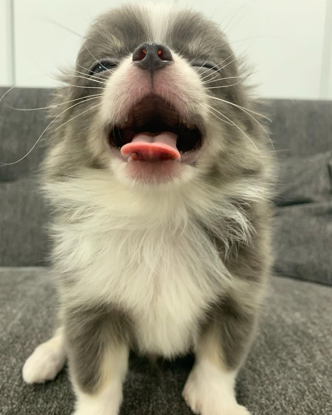 Milky
