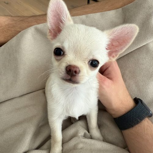 Zoe